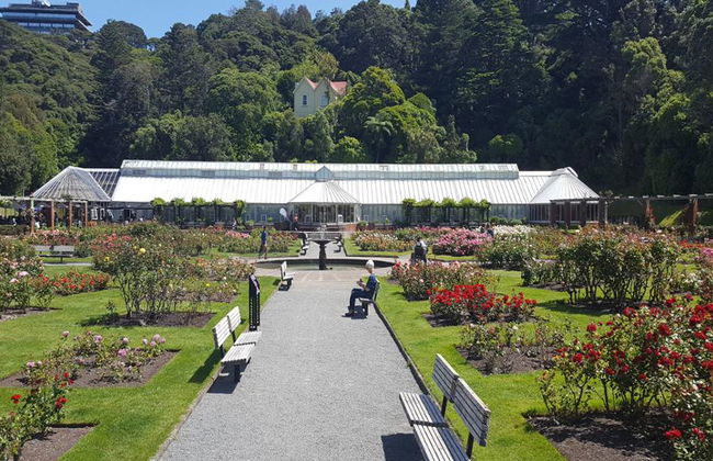 Tour des points forts de Wellington, des grottes à la côte - Photo 3